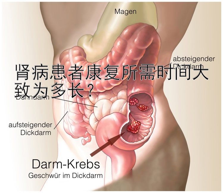 肾病患者康复所需时间大致为多长？