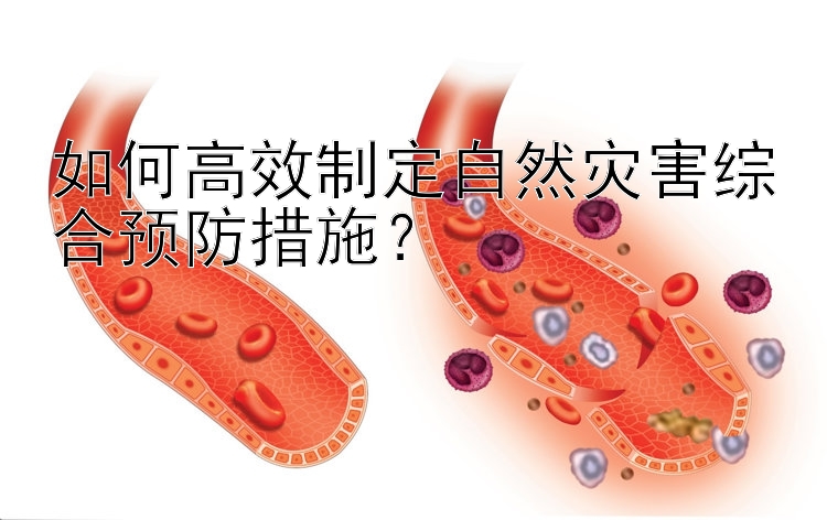 如何高效制定自然灾害综合预防措施？