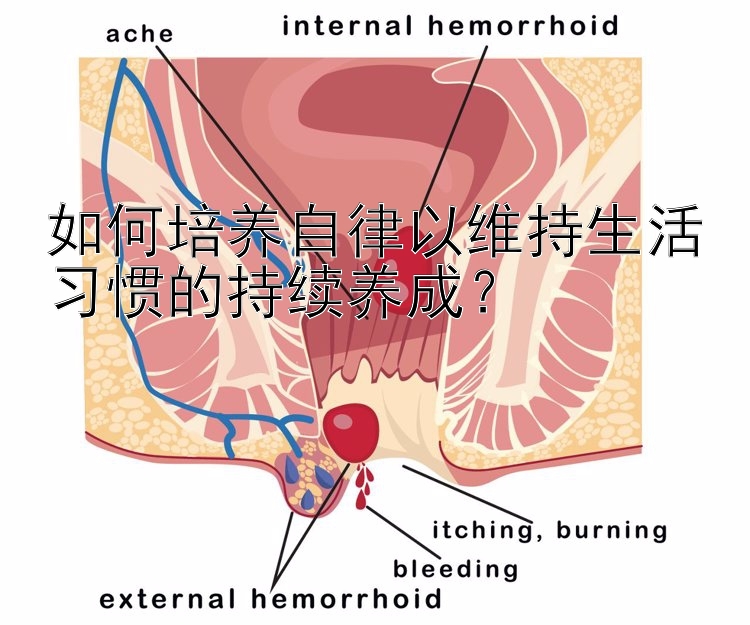 如何培养自律以维持生活习惯的持续养成？