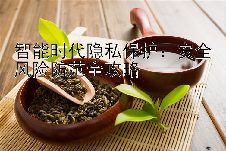 智能时代隐私保护：安全风险防范全攻略