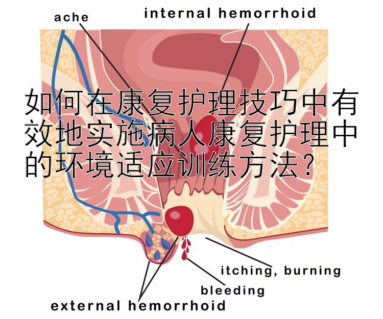 如何在康复护理技巧中有效地实施病人康复护理中的环境适应训练方法？