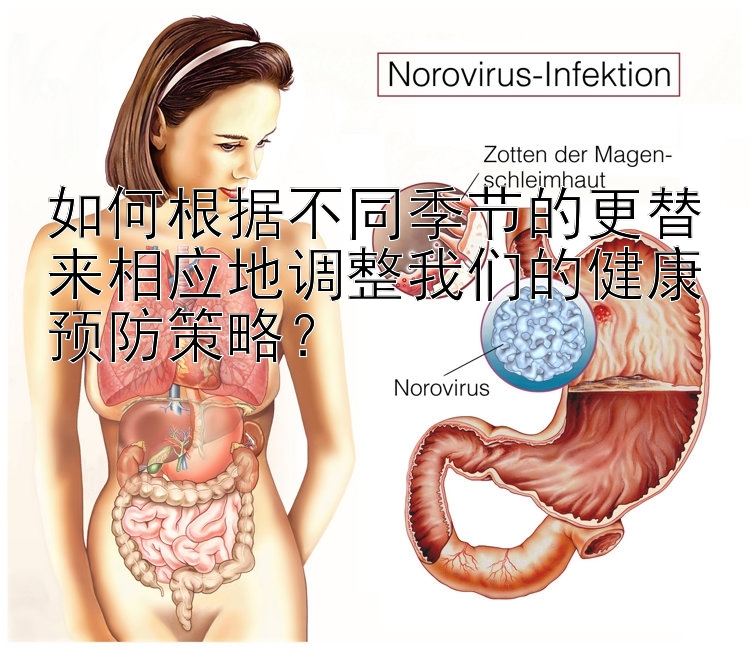 如何根据不同季节的更替来相应地调整我们的健康预防策略？