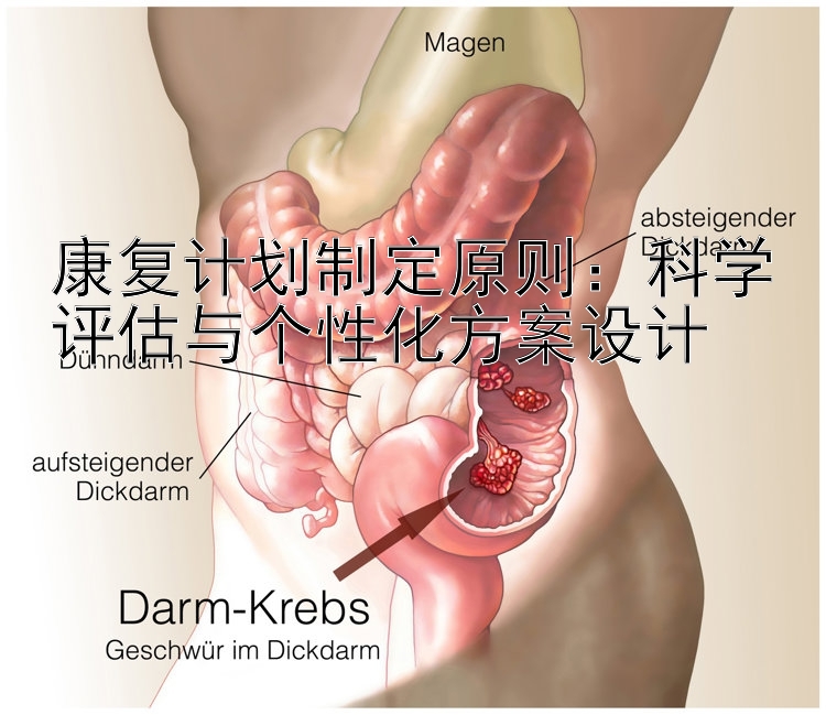 康复计划制定原则：科学评估与个性化方案设计