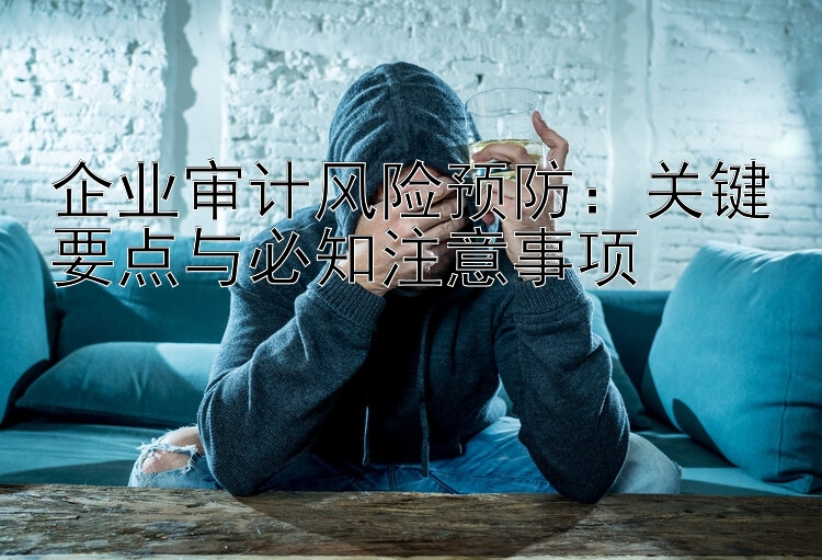 企业审计风险预防：关键要点与必知注意事项