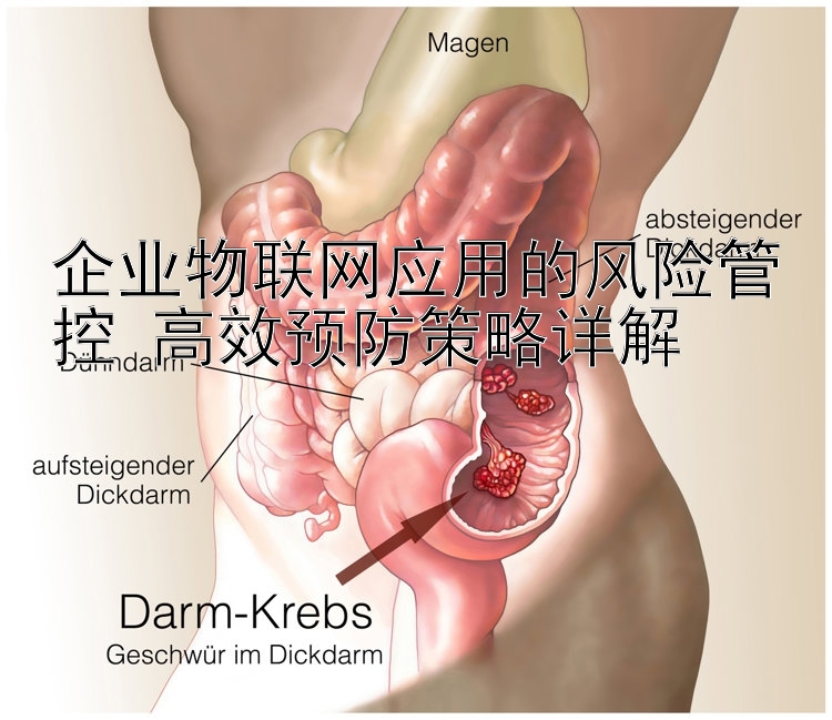 企业物联网应用的风险管控 高效预防策略详解