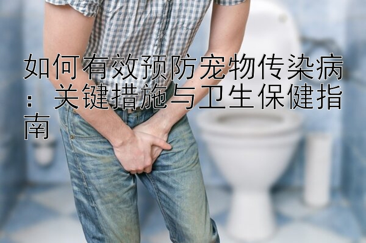 如何有效预防宠物传染病：关键措施与卫生保健指南