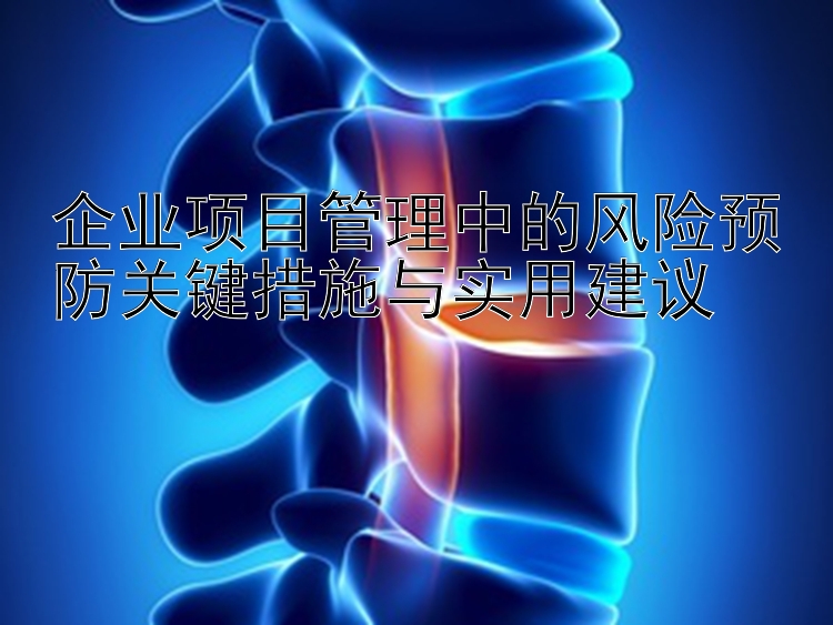 企业项目管理中的风险预防关键措施与实用建议