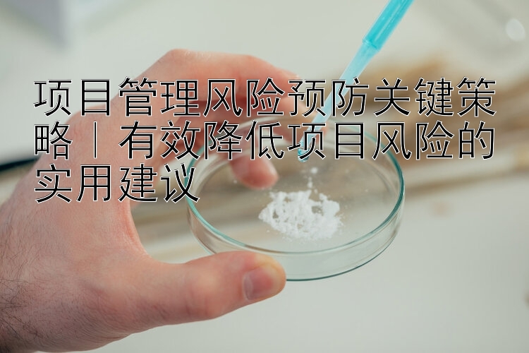 项目管理风险预防关键策略｜有效降低项目风险的实用建议