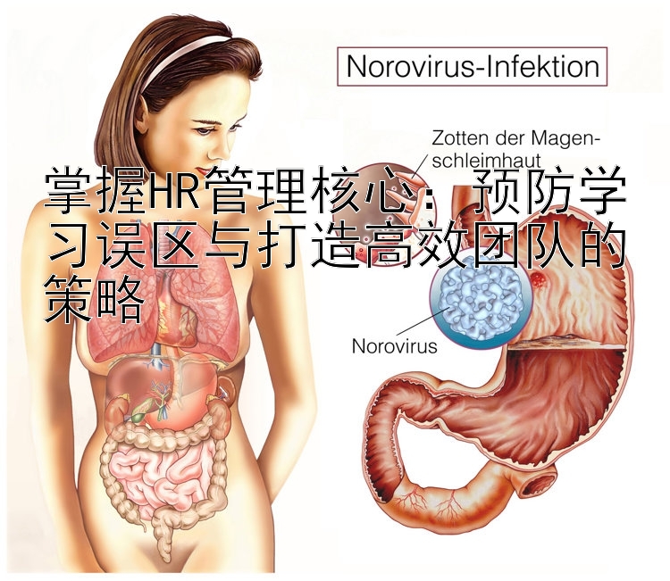 掌握HR管理核心：预防学习误区与打造高效团队的策略