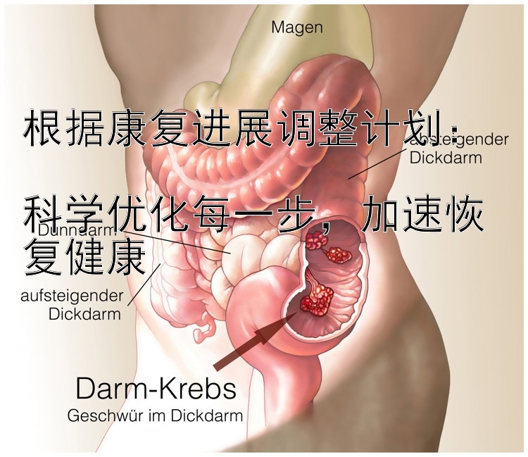 根据康复进展调整计划：  
科学优化每一步，加速恢复健康