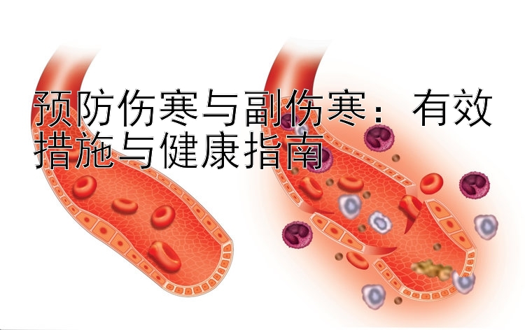 预防伤寒与副伤寒：有效措施与健康指南