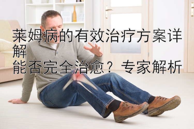 莱姆病的有效治疗方案详解  
能否完全治愈？专家解析