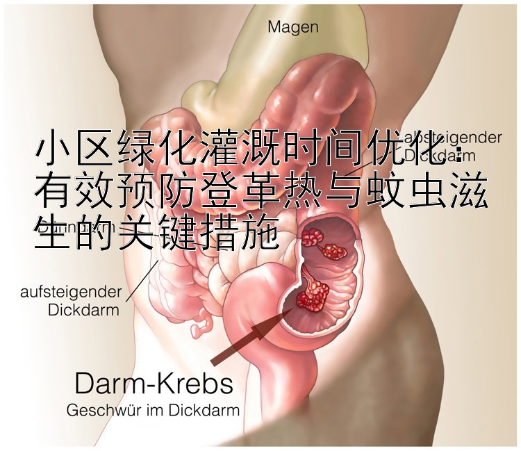 小区绿化灌溉时间优化：有效预防登革热与蚊虫滋生的关键措施